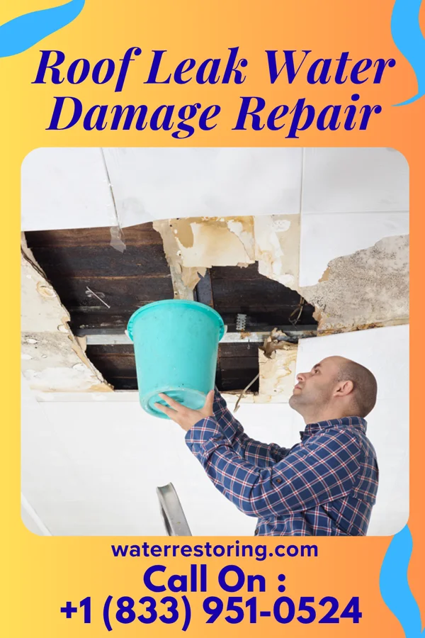 Roof Leak Water Damage Repair in Conway, FL